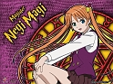 Negima_100