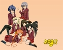 Negima_115