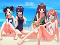 Negima_83